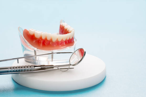 Professional Holistic Dental Care Services in Lee Acres, NM